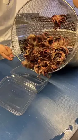 Ahtapot carpaccio yapılışı, evde mutlaka deneyin ha 🤪🐙 #farukchef #farukgezen #seafood