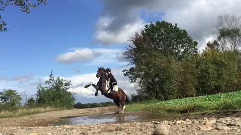 Wie lange kennt ihr euer Pferd/Rb/etc schon? -7 1/2 Jahre 💫 #slomo #foryou #lewitzer #viral #pony #fy #steigen
