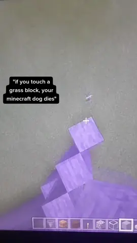 #Minecraft #foryoupage