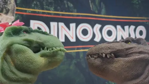 A aposta #dinosonso parte 2 (em HD) são 3 partes em sequência assista a todas.