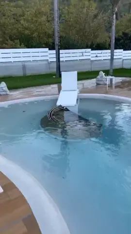 La situazione a casa mia dopo una nottata di pioggia 😂 #foru #viral #Home