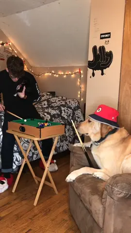 Game Night 🥺❤️ #feature #featureme #foryou #foryoupage #tiktok #pets #dogs #thingsthathappened
