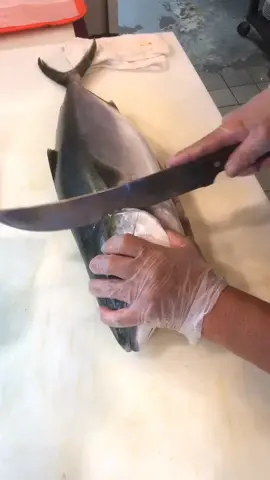 Can you name what type of fish this is? #sashimi #aycesushi #crushedit #okboomer