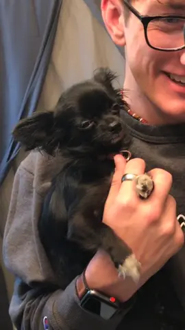 Baby Puddin 😭❤️ #foryou #foryoupage #feature #featureme #tiktok #pets #dogs #itsshowtime