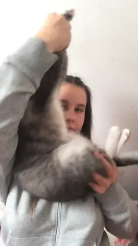 love my cat#foryou #cat#Love