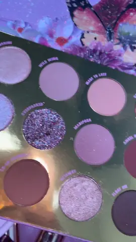 New @colourpopco butterfly collection 😍#fyp