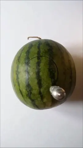 #watermelon #meme #art #fruit #水果 #fruitninja #tik #crazy #my2019 #bello #simpaticissimi #virał #video   #flower #scuruchi watermelon