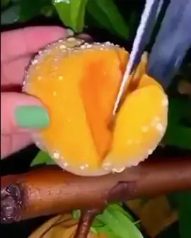 #tiktok #tiktokpakistan #tiktokindia_ #viral #foryou #fyp
