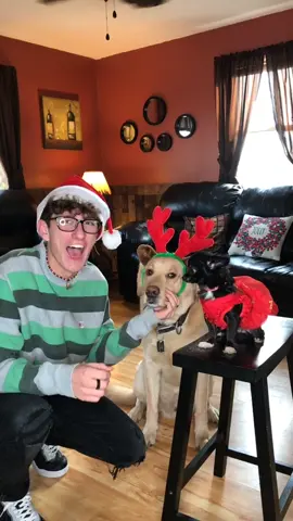 We hopped on the mop trend 😂❤️ #foryou #feature #featureme #foryoupage #pets #dogs #2000sthrowback #GamingOnTikTok
