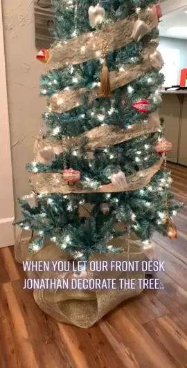 #hohoho #fyp #foryoupage #christmas @hessortho