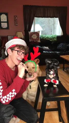 Here’s a Fail from yesterday’s video 😂💀 #foryou #foryoupage #feature #featureme #tiktok #pets #dogs #bestofthedecade #comedyking