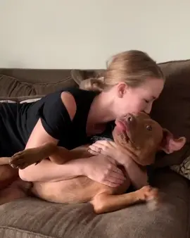 No peace and quiet. #tatumtalks #dog #dogsoftiktok #petsoftiktok #talkinganimals #foryou