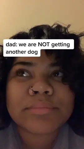 anyone else’s #dad like that? #dog #fyp