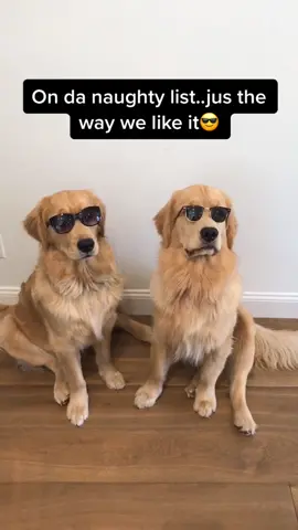 Naughty list pleez😎 #uronsantasnaughtylist #badguy #goldenlove