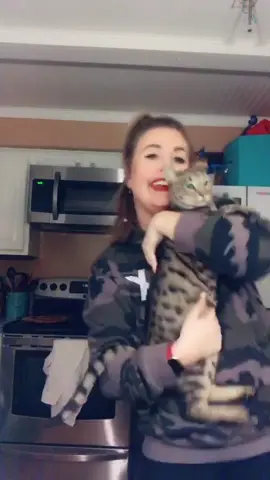 She just fell from the sky! #savannahcat #savannah #catsoftiktok #foryoupage #fyp #foryou
