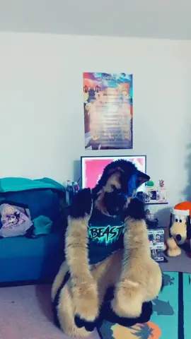 When you’re trying to get your recording just right but you keep messing up! #fyp #frustrating #furry #fursuit #furryfandom Inspired by @cosmic.wuffy