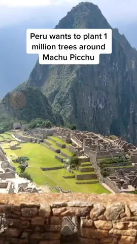 Machu Picchu's 1 million trees #machpicchu #ruins #trees #landslide #erosion #southamerica #travel #tourist #nature