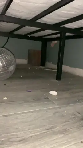 today i have to clean under my bed bc of this mess