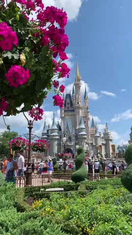 Disney check #disneyworld #disney #foryourpage #fyp #foryou