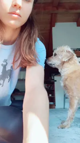 THIS DOG