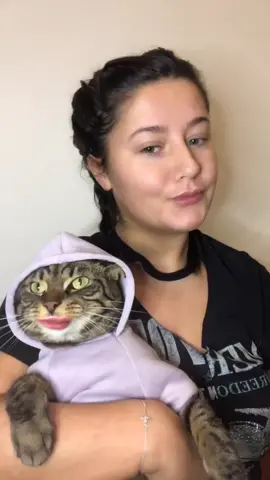 🥴 #cat #bengalcat #catsoftiktok #foruyou #foryyou #feautureme #lfl #scottishgirl #fypchallenge #foryou #trend
