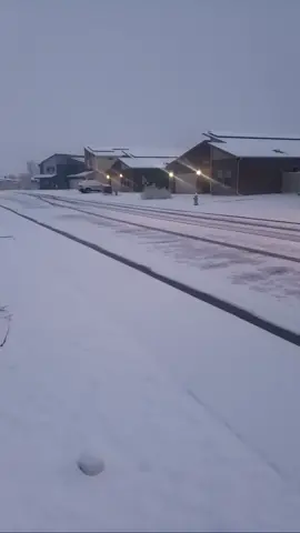 Live in Colorado where snow days dont exist. 🤣 #coloradocheck #whatsnowday #grandjunction