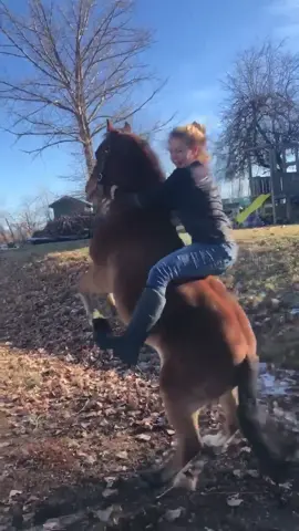 I miss you devil pony.. #fyp #foryoupage #equestrian #horse #idaho #equine #chaoticpets