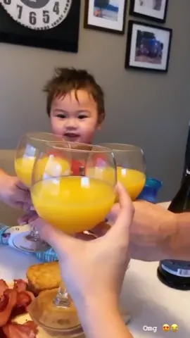 Baby learned how to cheers and now HE WON’T STOP. 😂 #foryou #foryoupage #fyp #toddlerlife #toddler #babiesoftiktok #cute #funny #viral #trend #cheers