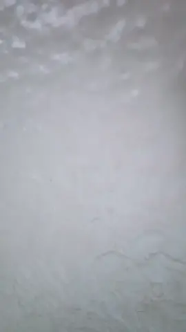 It actually snowed and is still snowing! Looks like a snow day for me and the babies! #foryou #f4f #OklahomaCheck