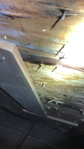 My trainee found a roof leak #homeinspector #homeinspectionhorrors #atlantahomeinspector #roof #roofleak