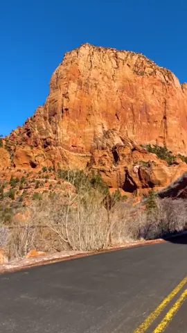 Add Zion National Park to your bucket list! 🏞 Such a great place for a road trip in the Southwest US! 🚗🏜 Insta: @Global.Viewpoint ✈️ #traveling