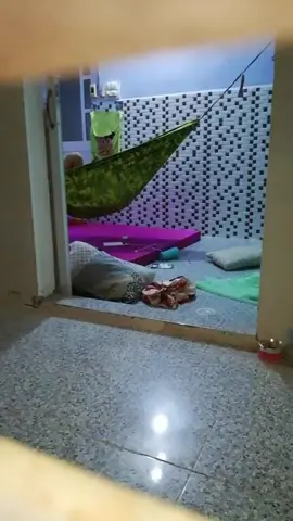 #littlemonster