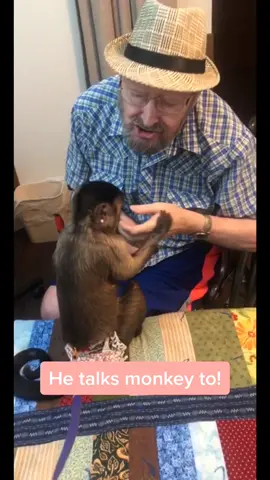 This is my Great Grandpa! I make sure the retirement home keeps he straight #greatgrandpa #lovehim #lovers #grandpa #fyp #foryou #fypage #capuchin