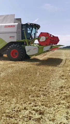 Wer freut sich jetzt auch schon wieder aufs Dreschen 😊#farmlife #agripics #spassanderarbeit #farmer #farmwork #agriculture #farm #claas #harvest