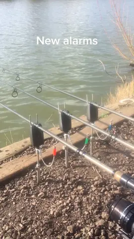 Testing new bite alarms for Kodex Tackle #bitemechallenge #foryou #fyp #fishing #uksports #carpfishing #kodexcarp