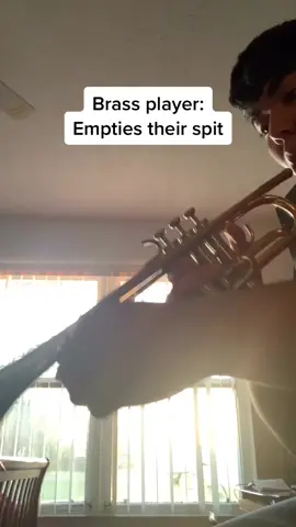 Woodwind>brass #band #sax #brass #woodwind #marchingband #concertband