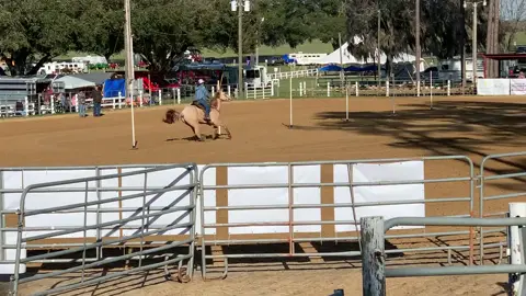 Ace and I are finally coming together on poles🤤😇 #fyp #foryou #barrelrace