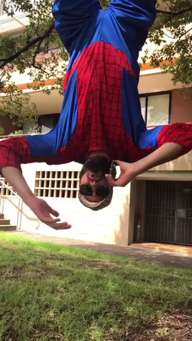 The Adventures of Lebo Spiderman #skit #lebo #spiderman #cosplay #sydney #australia #tiktokau #cuz #lebos #eljannah