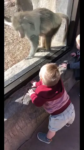 Joshua’s first trip to the ZOO 🦁 🐻 #tiktokuniversity #MakeTheLeap #zoo #Vlog #fyp