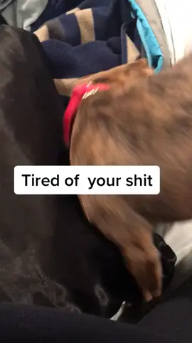 Sibling argument