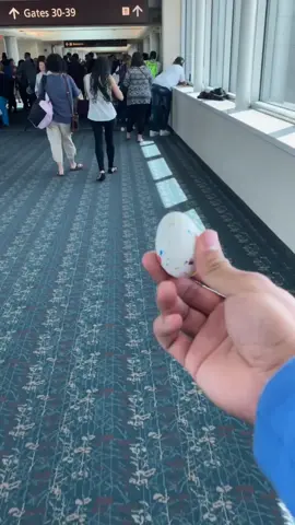 Travel 2,000 miles to give my brother a birthday present & the egg hatched 🐣😂