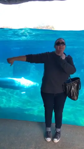 Beluga Renegade #renegade #tiktokdance #whales #beluga #belugawhale #dancing