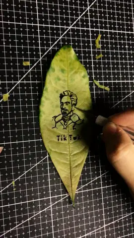 Can you see who this is?#PlayWithLife #foryou #tiktok #DIY #fyp