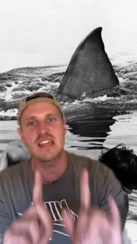 How to survive a SHARK ATTACK! (IG: joel_bergs) #foryou #fyp #greenscreen