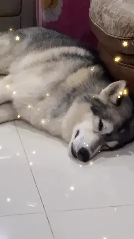 ZzzZzzZ