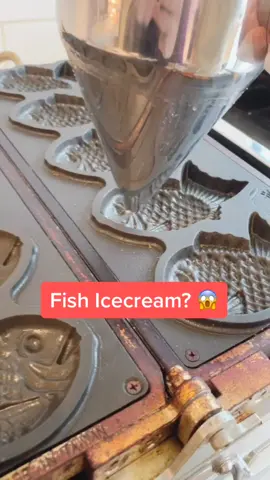 @ahmedsdiet shot a video of these fish icecreams 😋😱 Would you try this? #Food #FoodLover #yum #Foodie #fyp #foryoupage #foryou #toronto #perfectmeal