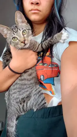 this is tito