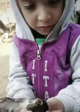 ਮਾਸੂਮੀਅਤ