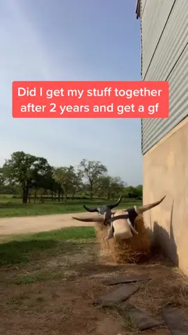 Let’s see if this time any different! #fyp #cowboystyle #ranchlife #yeehaw #ThisIsQuitting #girlfriend #bullrider #havefunwithit