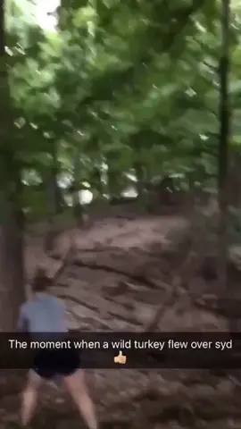 I had my sister send me a bunch of videos of me and this is what I got #whippedcoffee #moreyouknow #distancedance #ThisIsQuitting